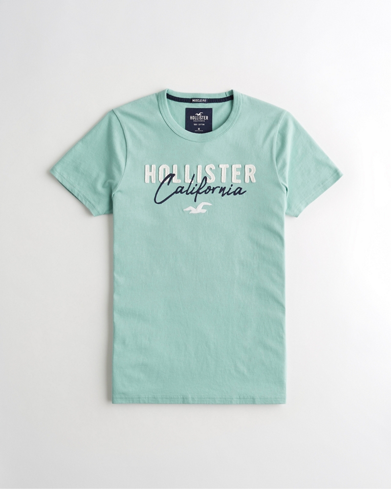 hollister 9343