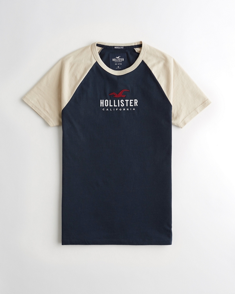 Hollister Colorblock Logo Graphic Tee 2025
