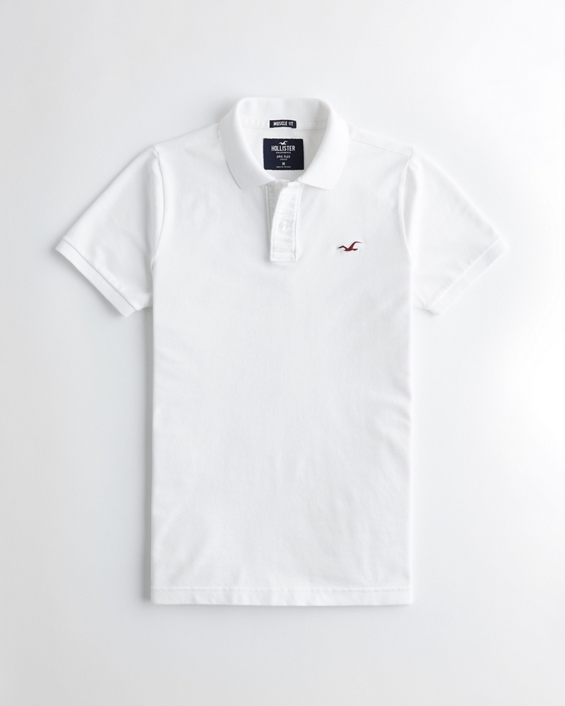 hollister polo