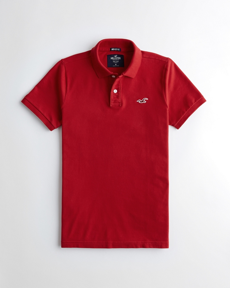 hollister polo