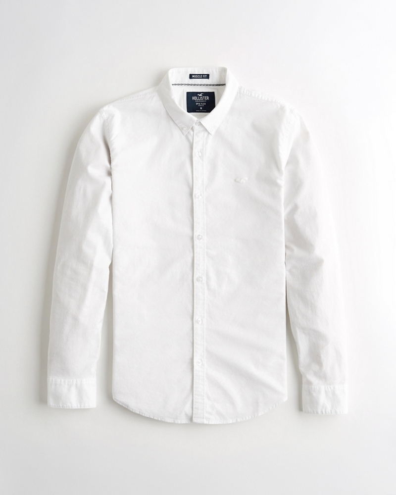 stretch oxford muscle fit shirt hollister
