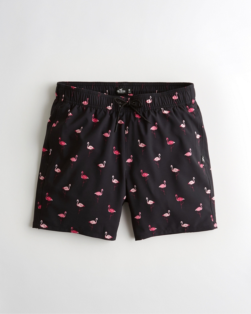 hollister mens swim trunks
