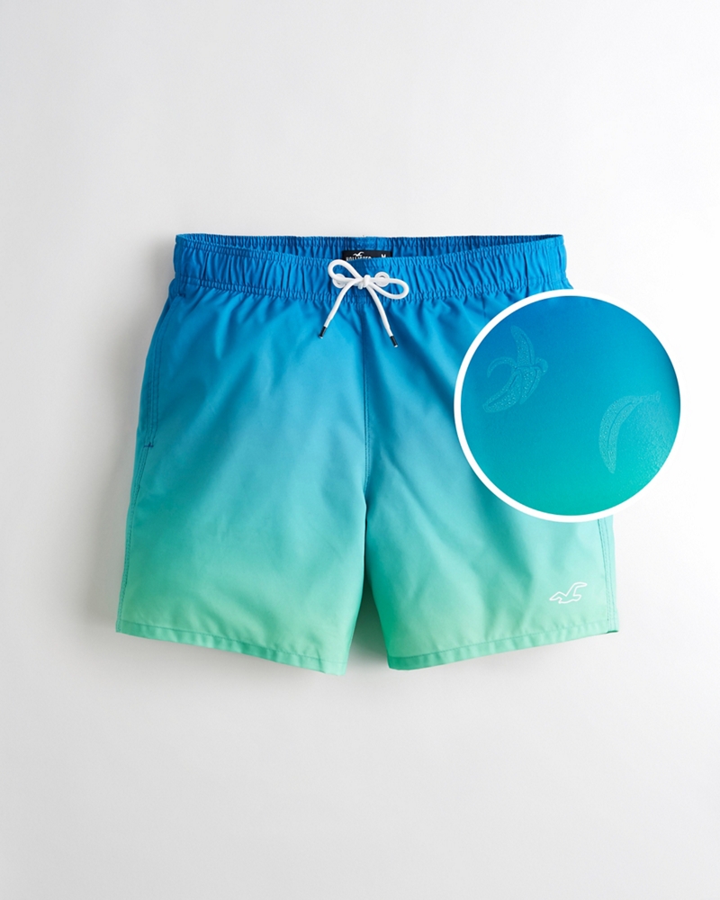 hollister guard fit swim trunks