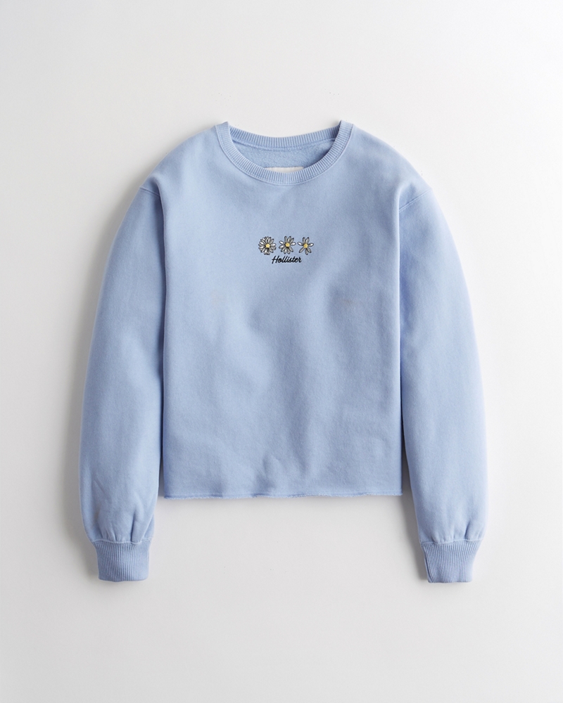 baby blue hollister hoodie