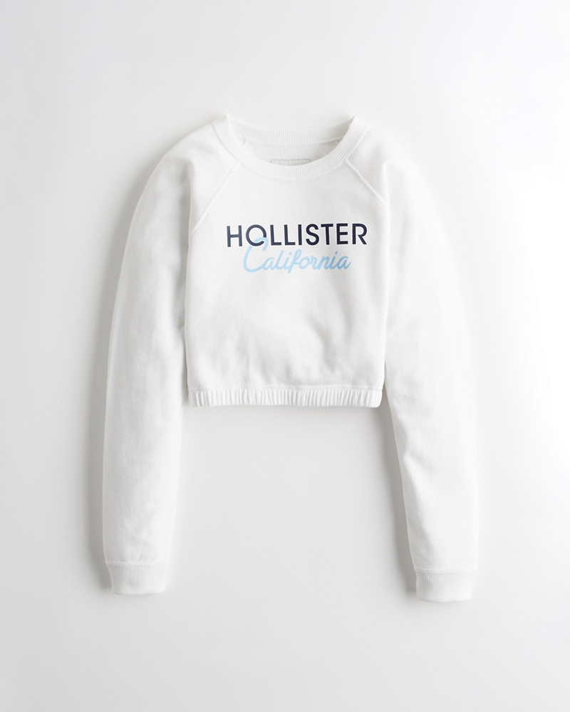 hollister manufacturing company