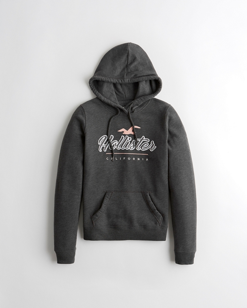 embroidered logo hoodie hollister