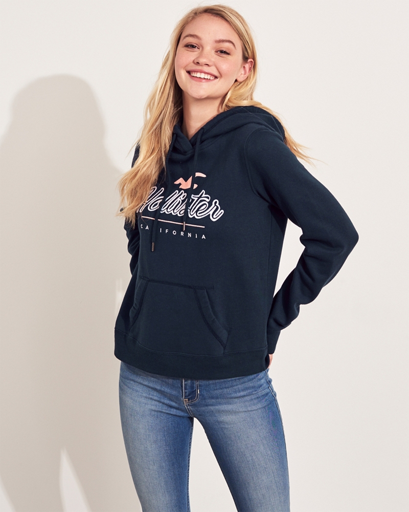 hollister navy hoodie