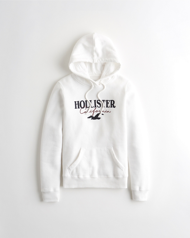embroidered logo hoodie hollister