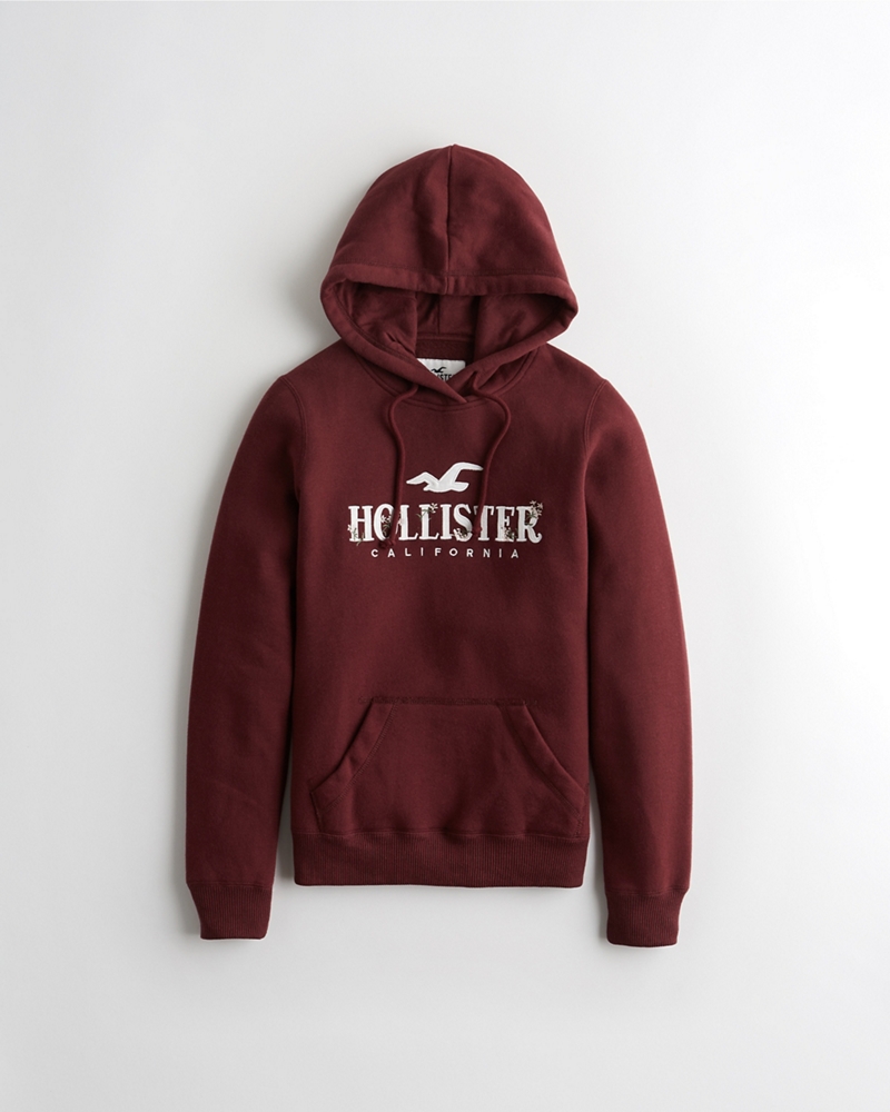hollister embroidered hoodie