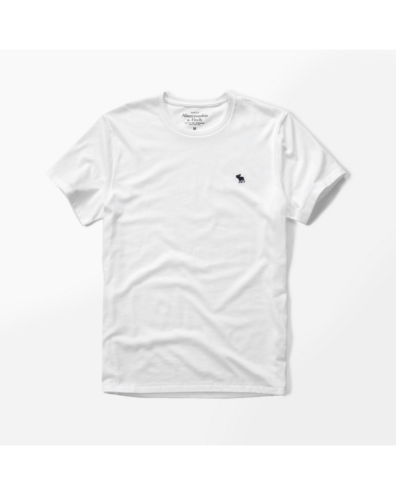 Abercrombie and Fitch Mens Icon Crew Tee