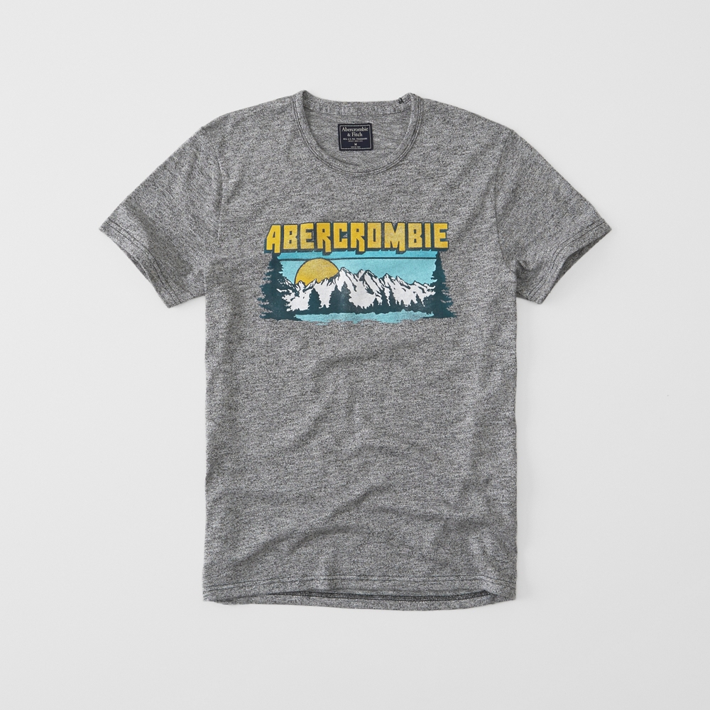 Abercrombie Print Logo Tee