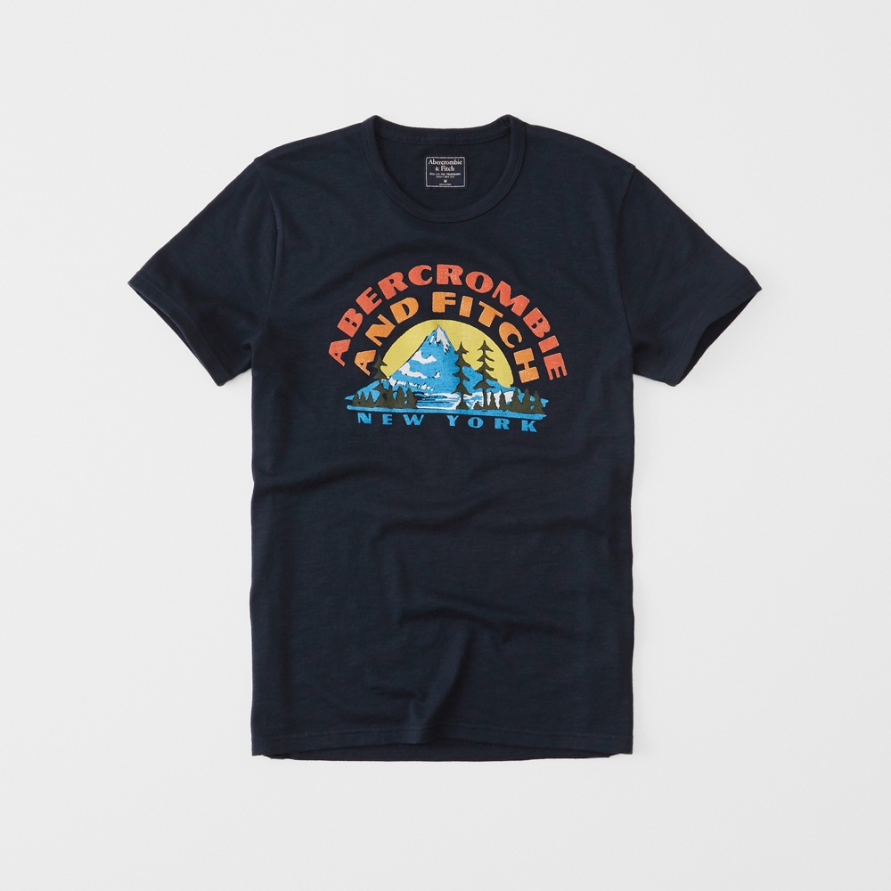 Abercrombie Print Logo Tee