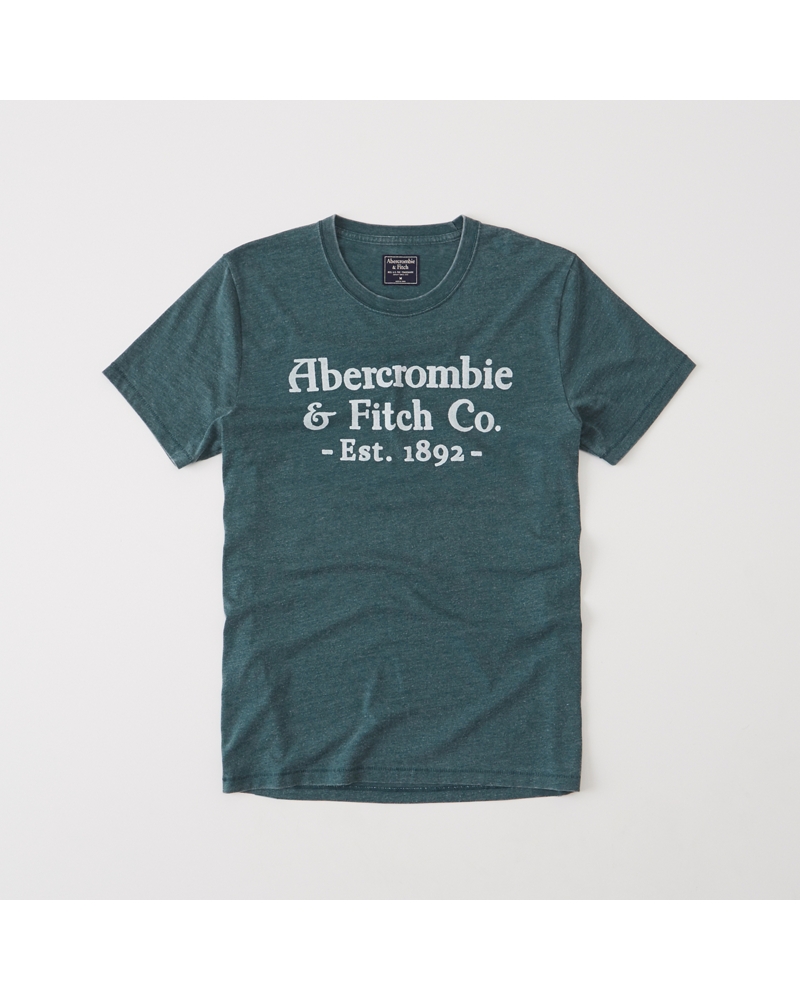 Abercrombie & Fitch Burnout Logo Graphic Tee