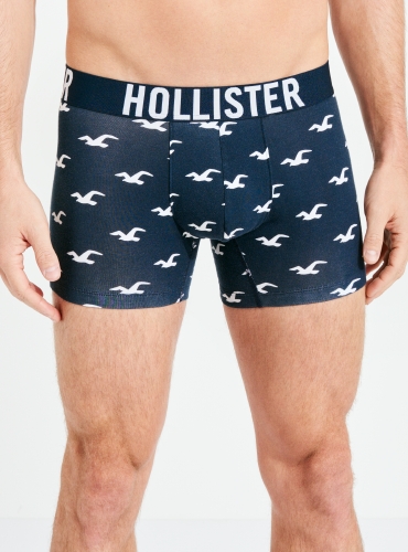 hollister underwear