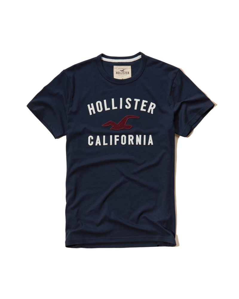 Hollister Textured Logo Graphic Tee