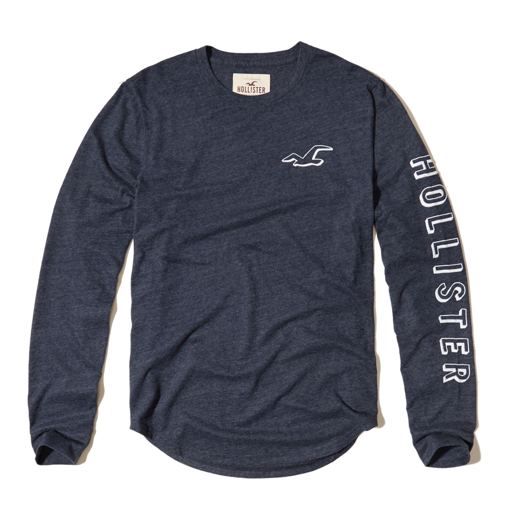embroidered logo graphic tee hollister