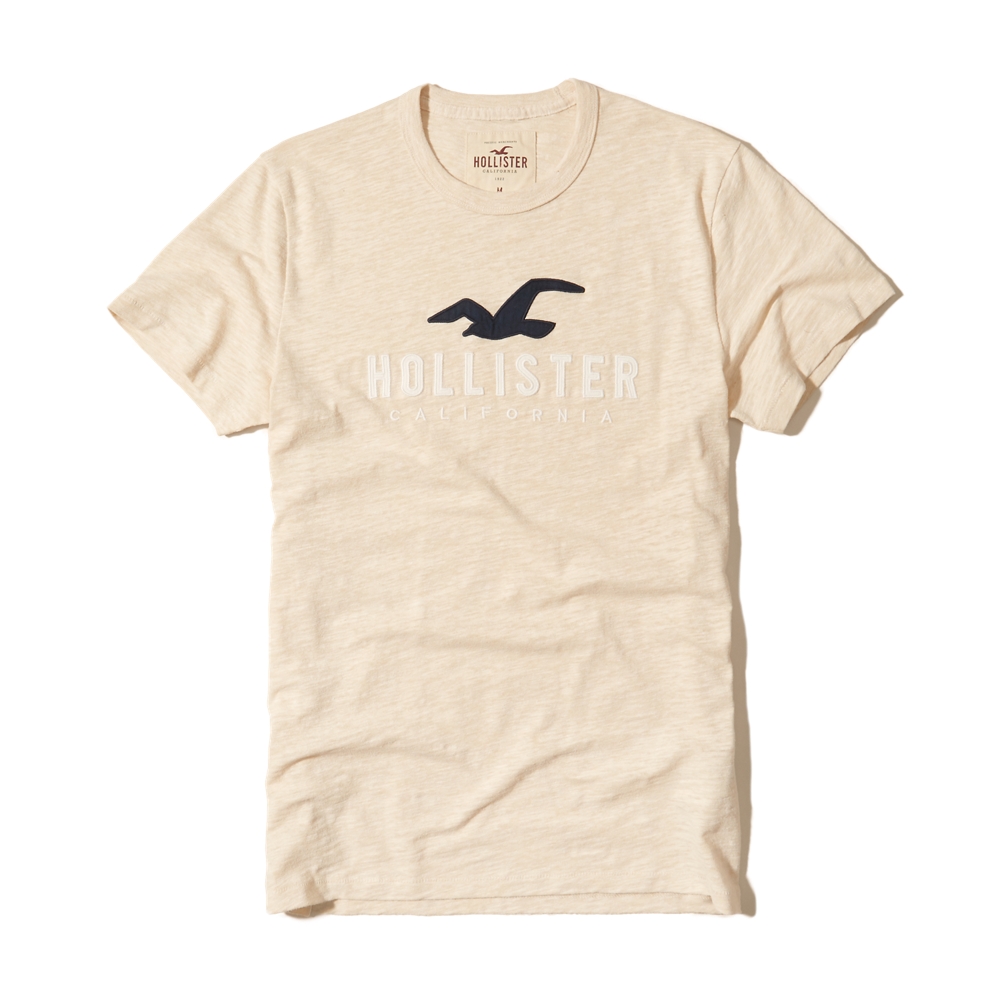 Graphic Tees & T-shirts | Hollister Co.