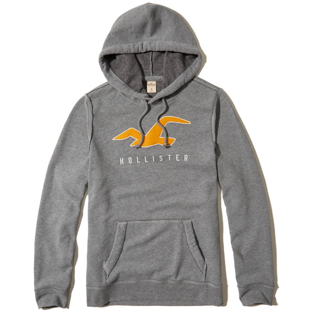 Guys Hoodies & Sweatshirts | Hollister Co.