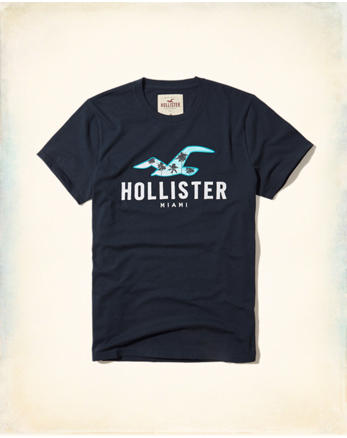 Graphic Tees & T-shirts | Hollister Co.