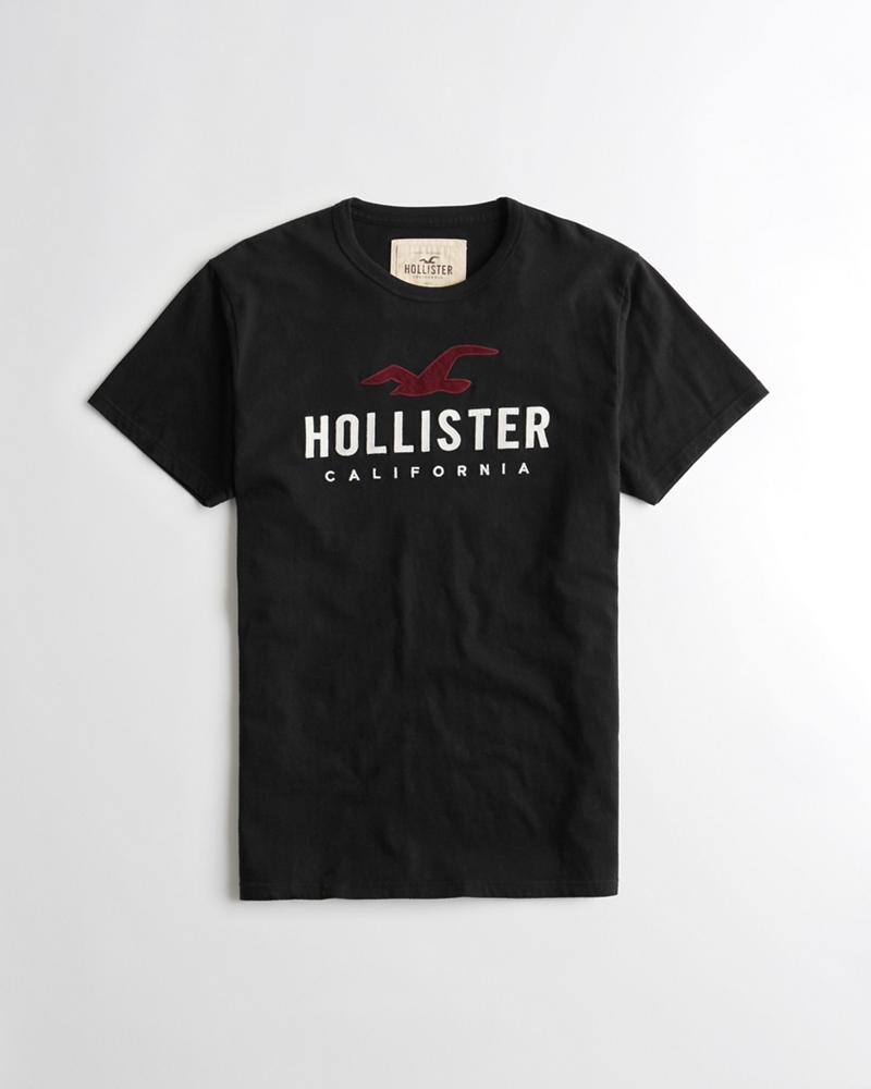 Graphic Tees & T-shirts | Hollister Co.