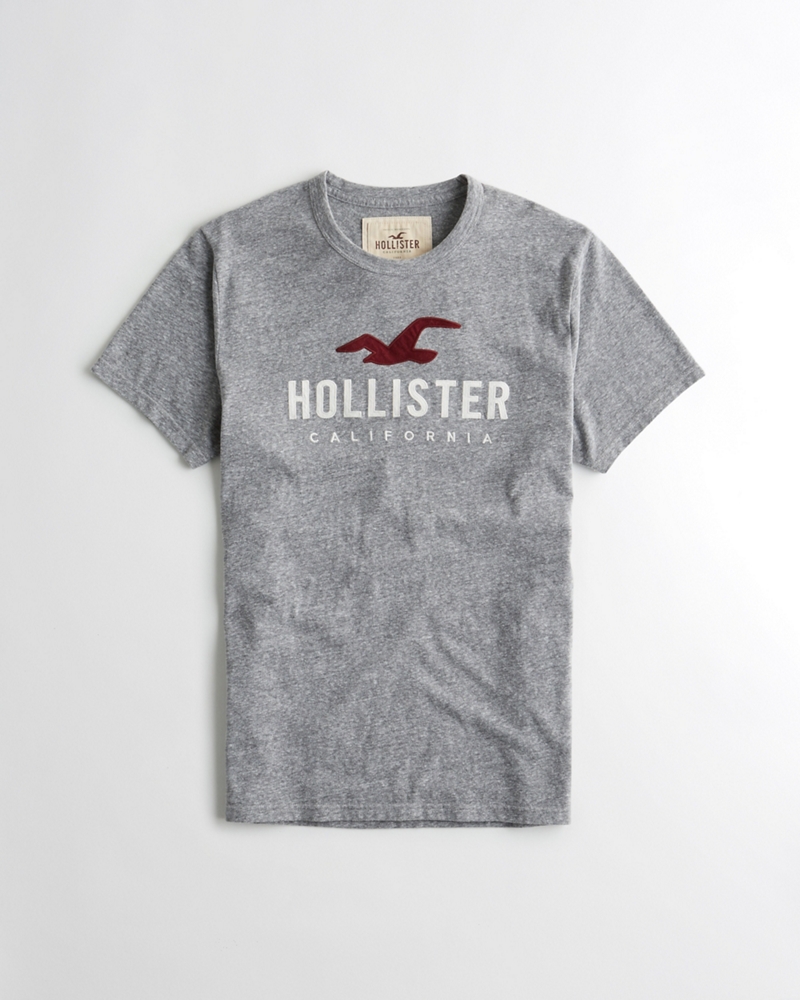 Graphic Tees & T-shirts | Hollister Co.