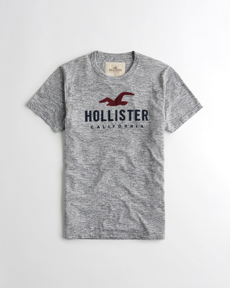 Graphic Tees & T-shirts | Hollister Co.