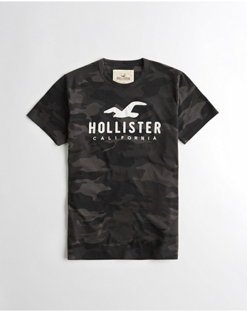 Graphic Tees & T-shirts | Hollister Co.