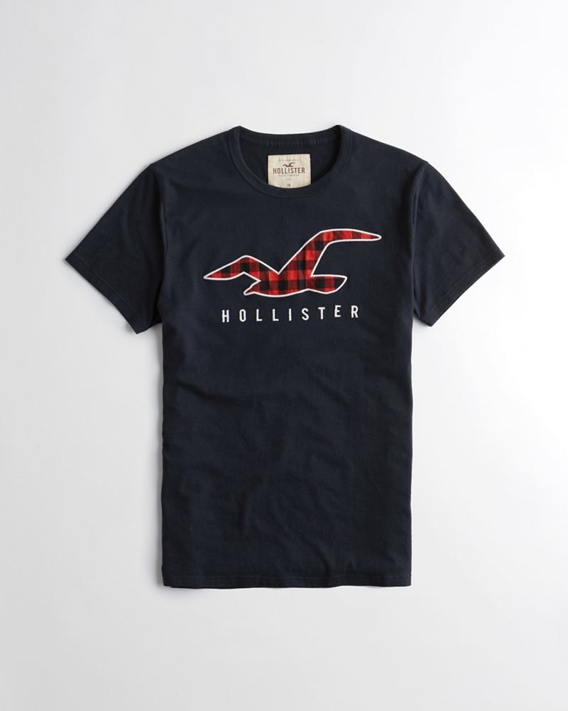 Graphic Tees & T-shirts | Hollister Co.