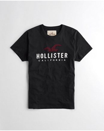 Graphic Tees & T-shirts | Hollister Co.