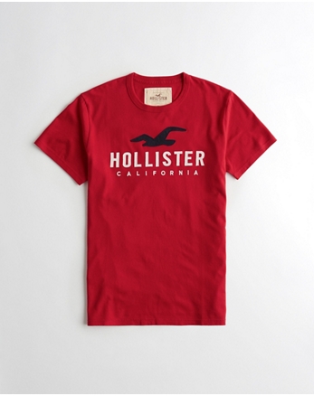 Guys Graphic Tees | Hollister Co.