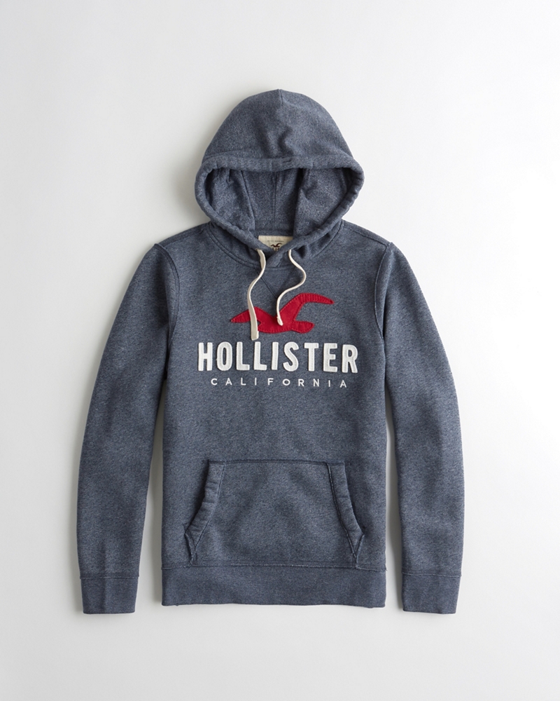 Guys Logo Graphic Hoodie | Guys New Arrivals | HollisterCo.com