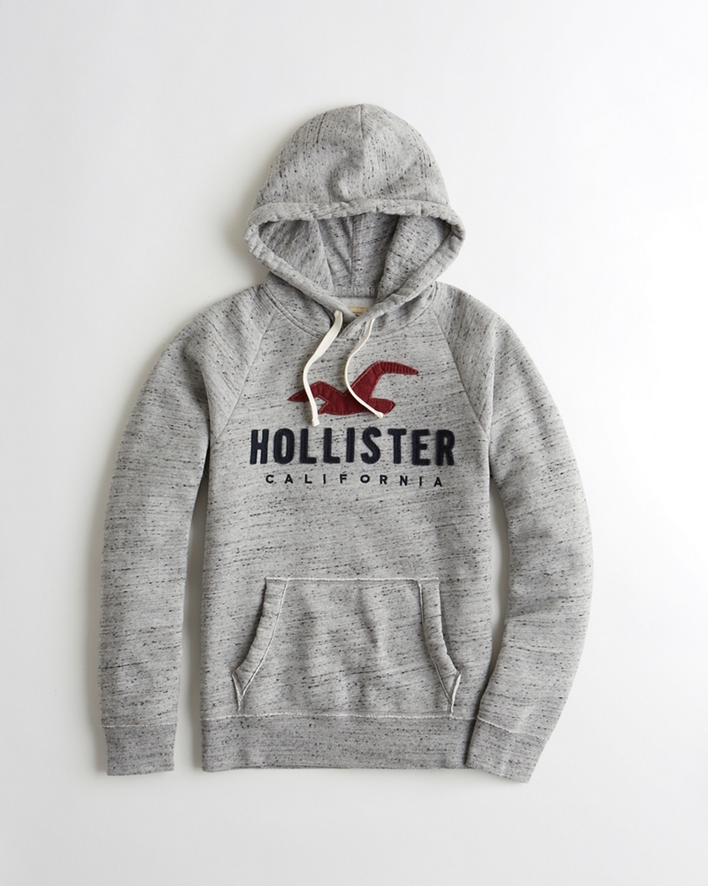 Guys Logo Graphic Hoodie | Guys Tops | HollisterCo.com