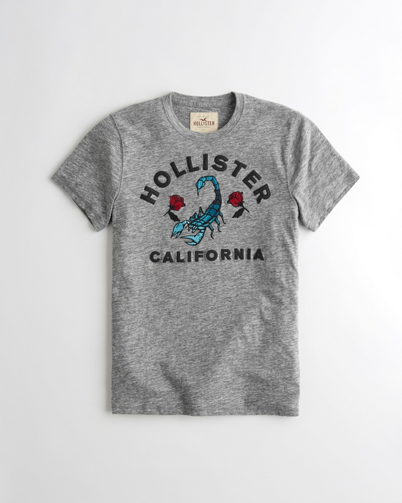 embroidered logo graphic tee hollister