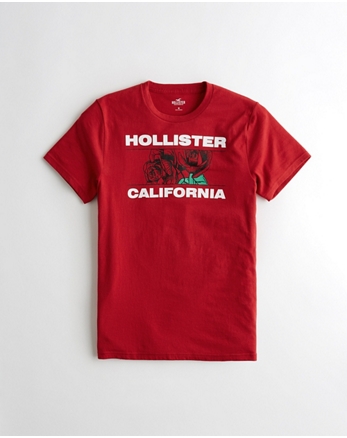 hollister t shirt rose