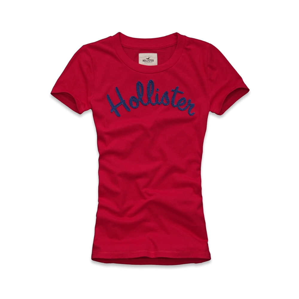   HOLLISTER by Abercrombie womens FIRST Point Logo Classic T Shirt NWT