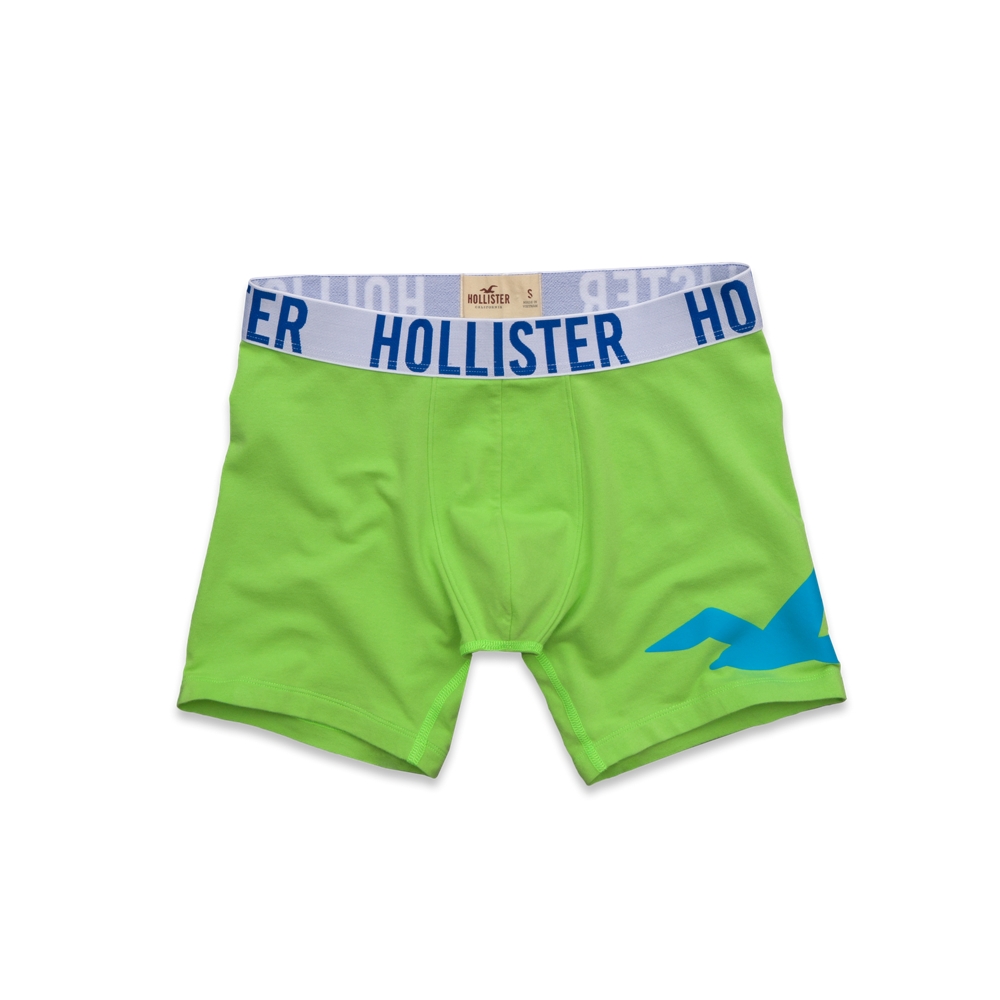 guys hollister boxer brief