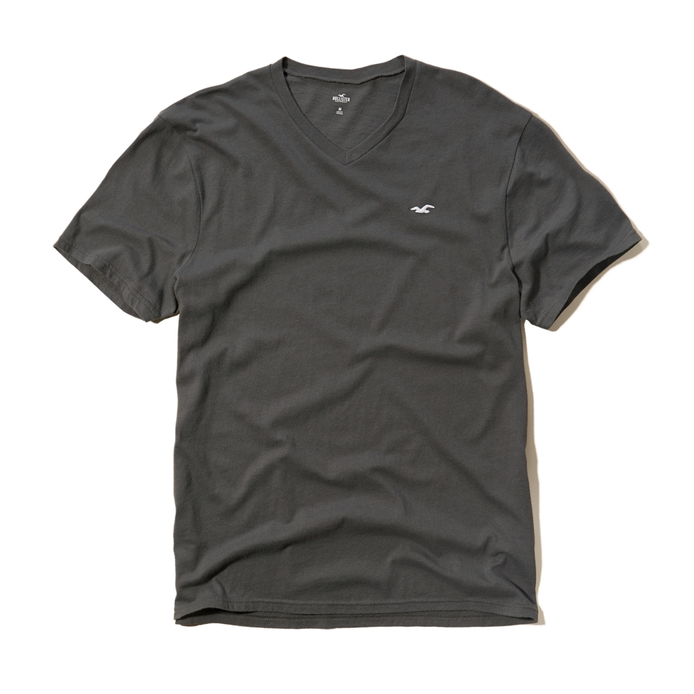 Guys T-Shirts & Henleys Tops | HollisterCo.com