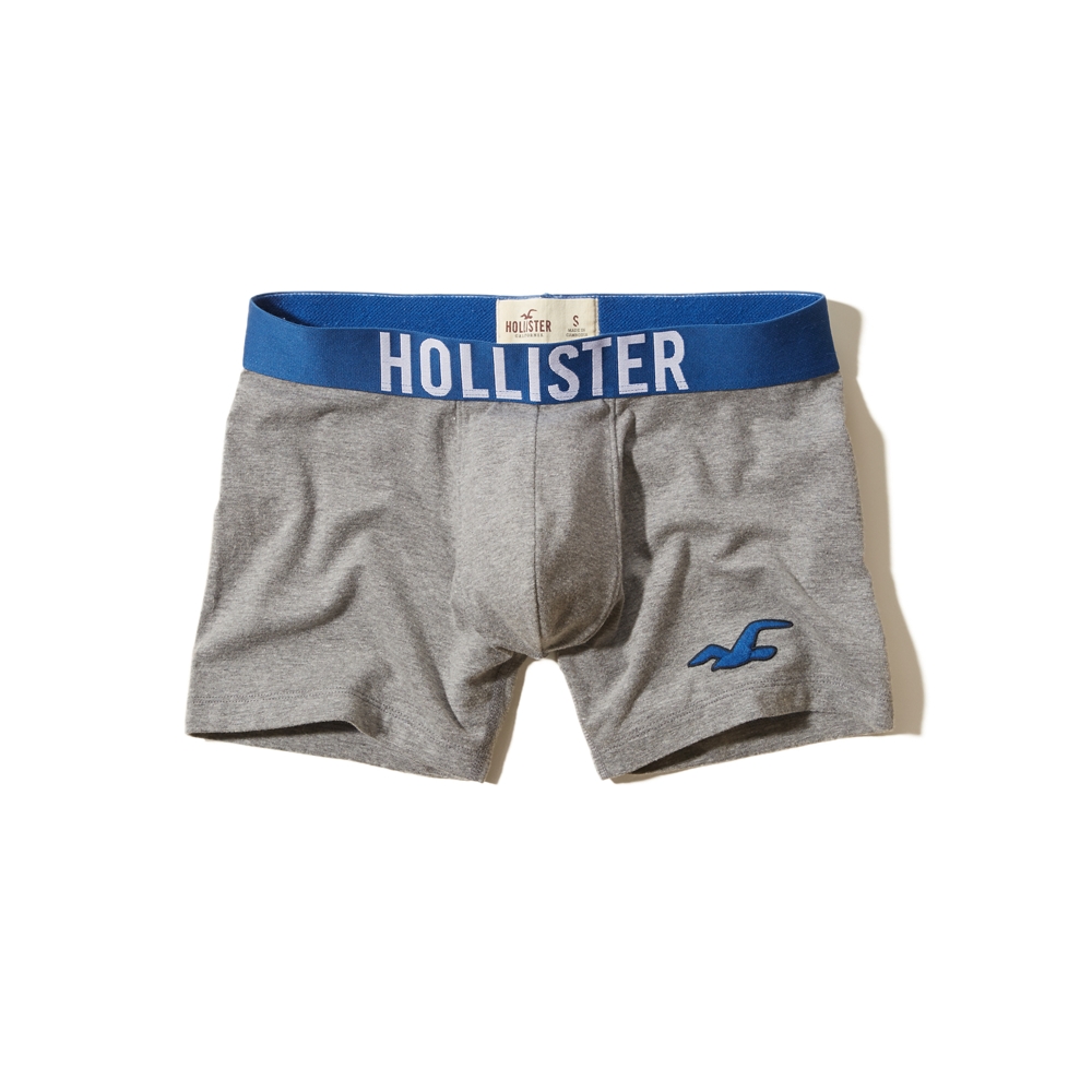 Hollister Classic Fit Briefs