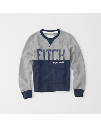 boys hoodies & sweatshirts | abercrombie kids