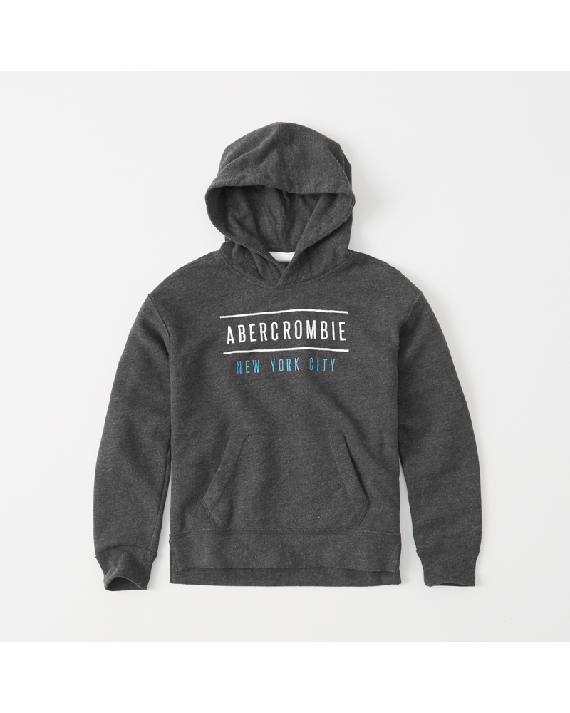 boys graphic hoodie | boys clearance | Abercrombie.com