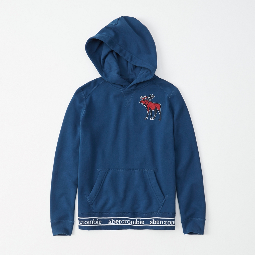 exploded icon hoodie