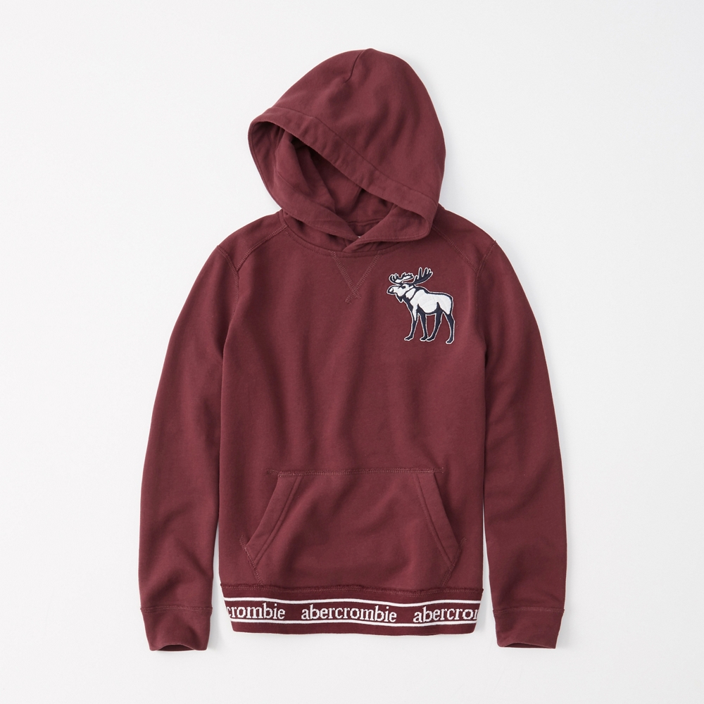 exploded icon hoodie